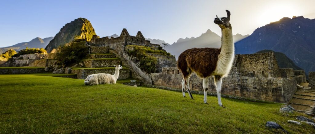 Machu Picchu tours from Cusco — llama with Inca citadel and Andes mountains