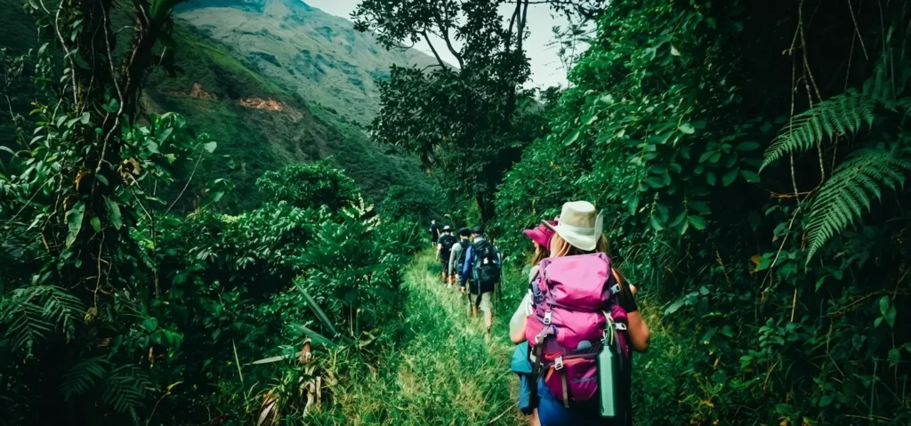 Hikers on a high-jungle trail on Day 2 of the Inca Jungle Trek Cusco between Santa Maria and Santa Teresa